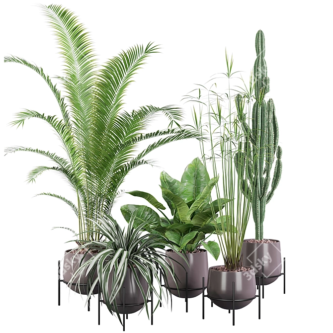 Botanical Beauties: 3D Plant Collection 3D model image 1