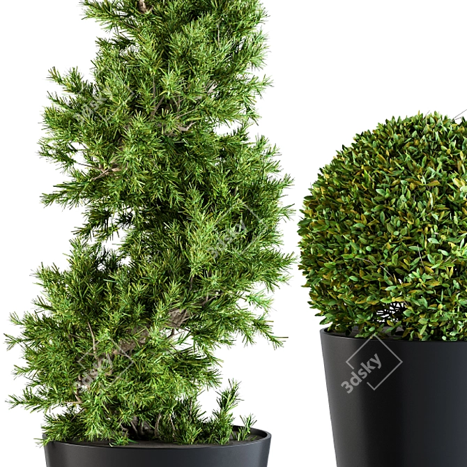 Shapely Outdoor Plants 3D model image 2