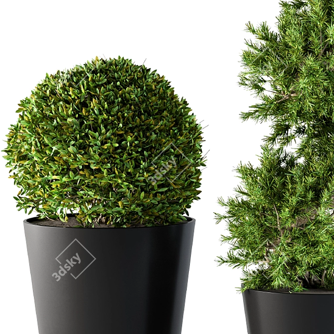 Shapely Outdoor Plants 3D model image 3