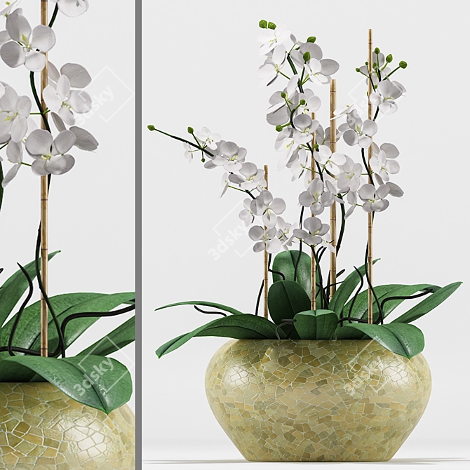 Exquisite Orchid Flower Pot 3D model image 1