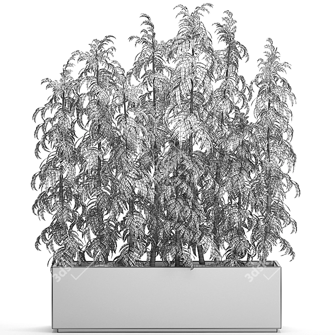 Tropical Plant Collection 3D model image 5