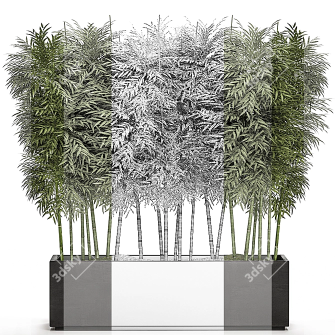 Tropical Plant Collection in White Pots 3D model image 4