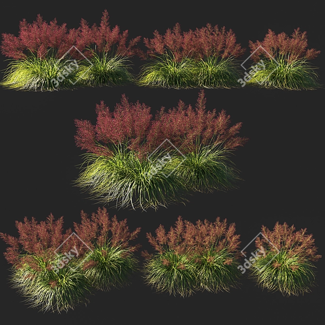 Muhly Grass Deluxe 2014 3D model image 1