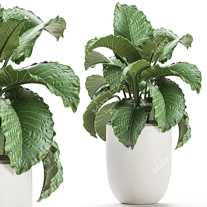 Exotic Indoor Plant Collection with White Pots 3D model image 1