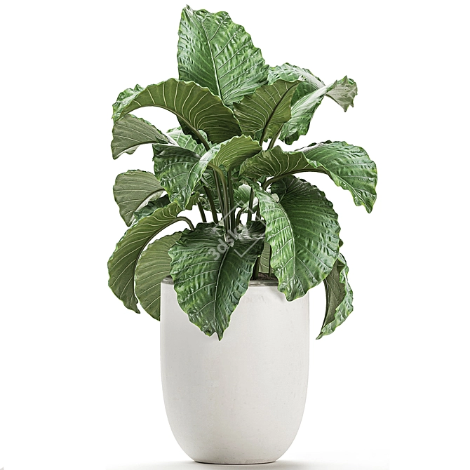 Exotic Indoor Plant Collection with White Pots 3D model image 3