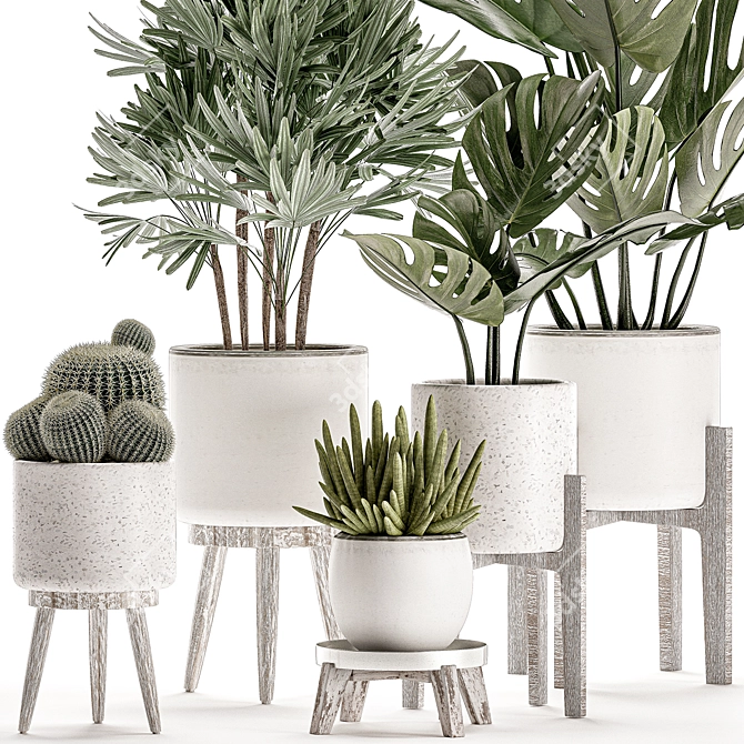 Tropical Plant Collection in White Pots 3D model image 2