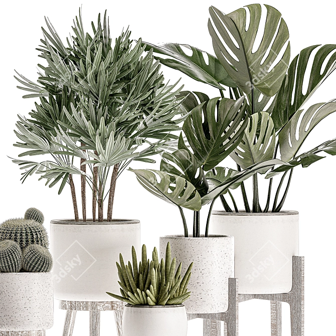 Tropical Plant Collection in White Pots 3D model image 4