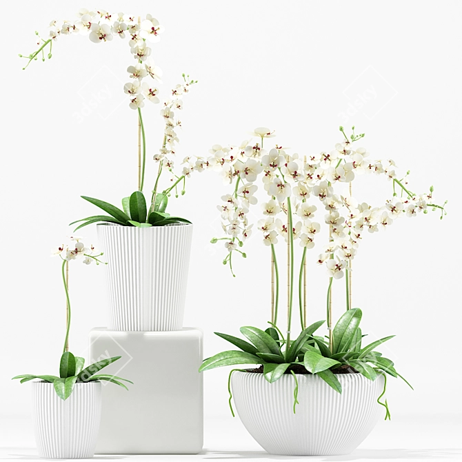 Elegant Orchid Flower Pot 3D model image 2