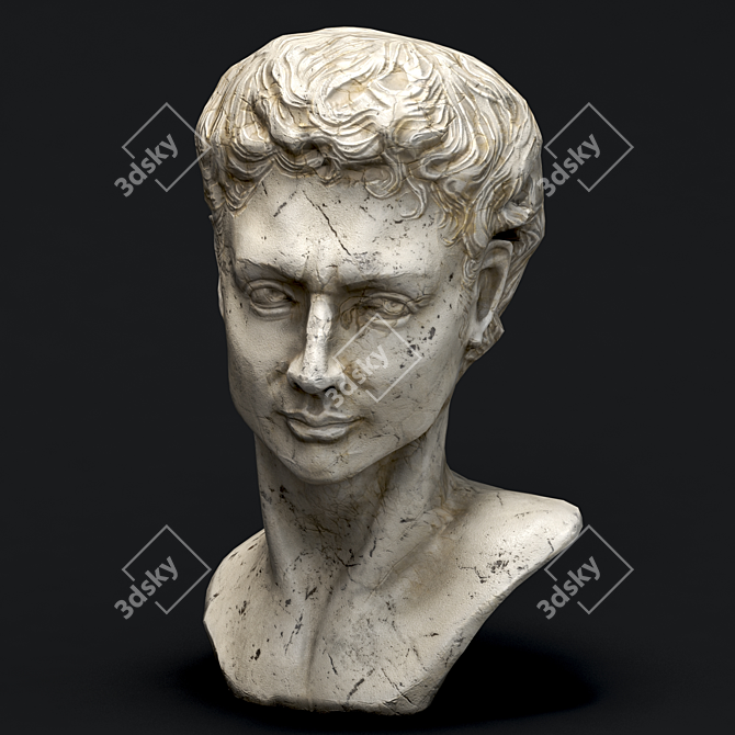 Sculpted Face Statue: Intricate Design & Detail 3D model image 1