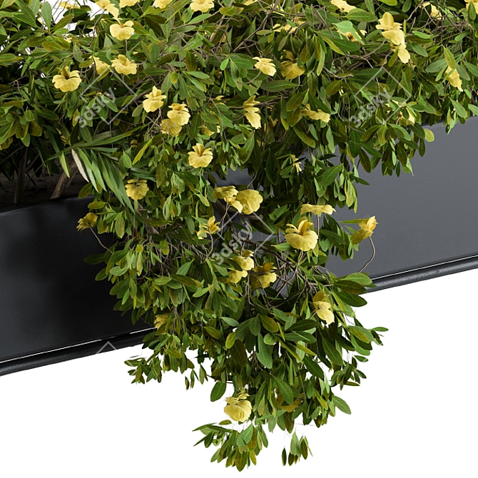 Elegant Black Planter with Vibrant Yellow Blooms 3D model image 2