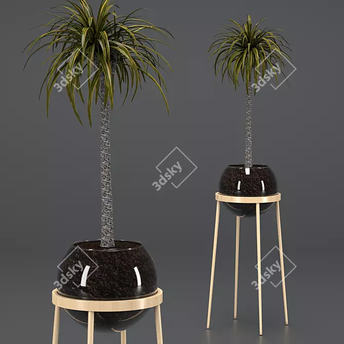 Elegant Dracaena Glass Pot 3D model image 1