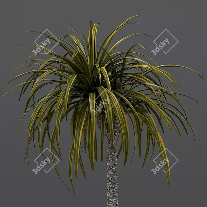 Elegant Dracaena Glass Pot 3D model image 2