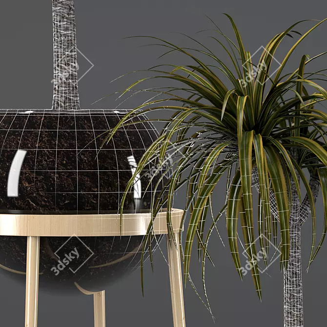 Elegant Dracaena Glass Pot 3D model image 3