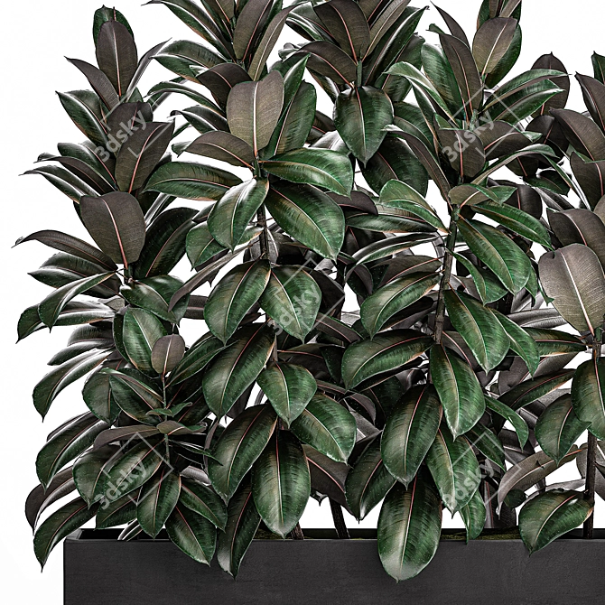 Tropical Plant Collection in Black Vase 3D model image 2