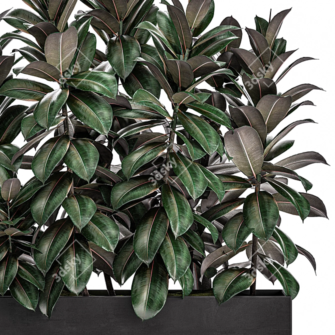 Tropical Plant Collection in Black Vase 3D model image 3