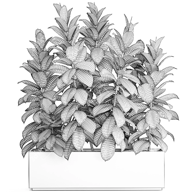 Tropical Plant Collection in Black Vase 3D model image 5