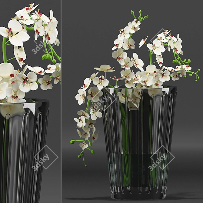 Elegant Orchid Bouquet 3D model image 1