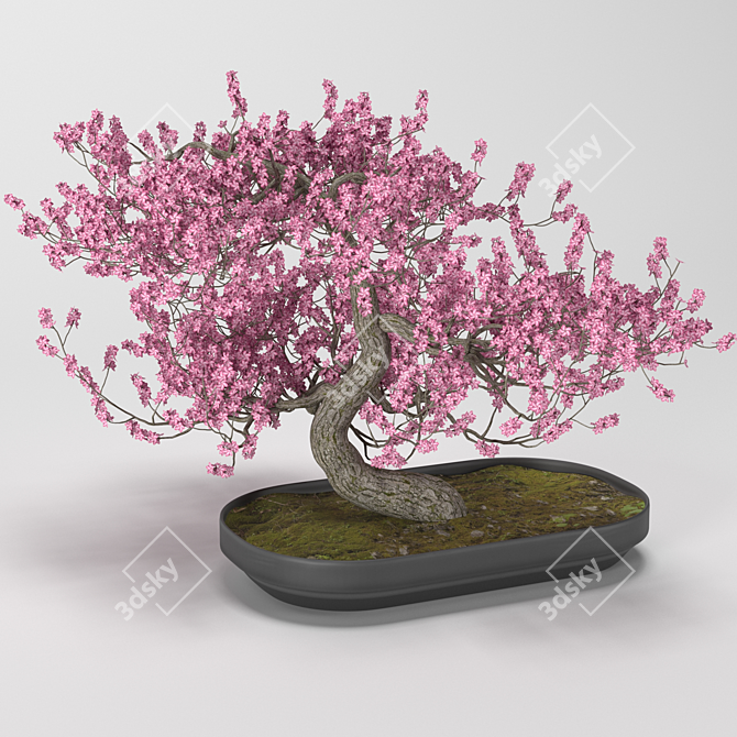 GrowFX Bonsai Tree: Captivating Miniature Beauty 3D model image 1