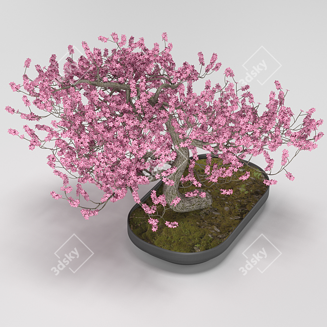 GrowFX Bonsai Tree: Captivating Miniature Beauty 3D model image 2