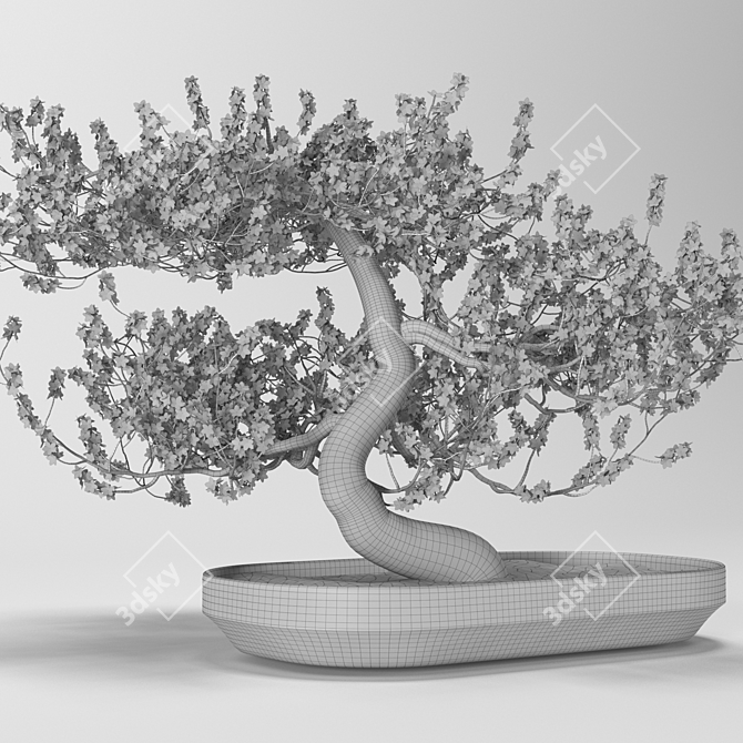 GrowFX Bonsai Tree: Captivating Miniature Beauty 3D model image 3