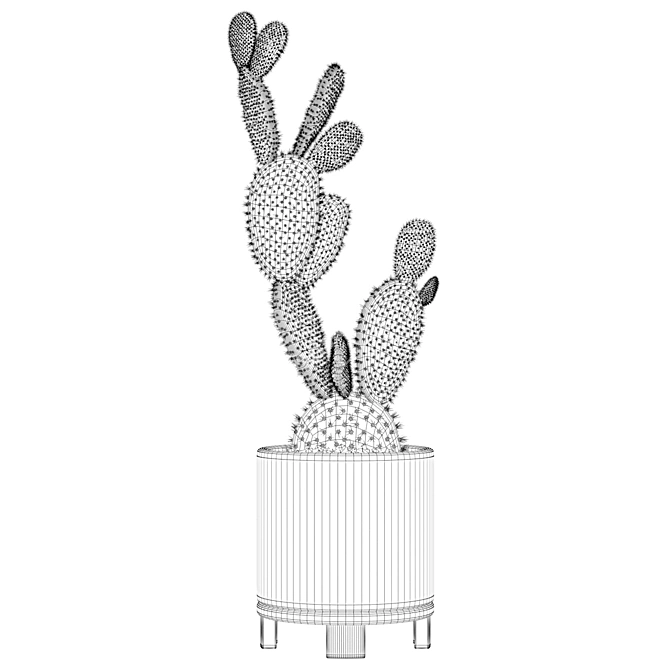 Terrazzo Opuntia Microdasys: 3D Plant Collection 3D model image 2