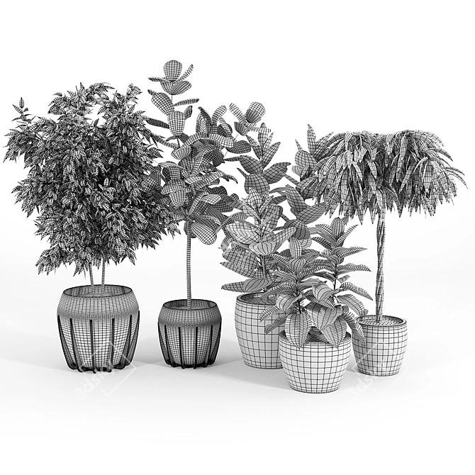 Ficus Set: 3D Models with Textures 3D model image 5