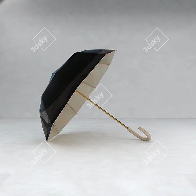 Rainproof Portable Umbrella 3D model image 1