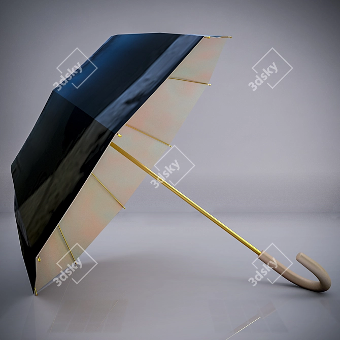 Rainproof Portable Umbrella 3D model image 3