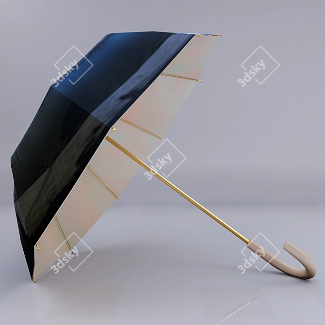 Rainproof Portable Umbrella 3D model image 4