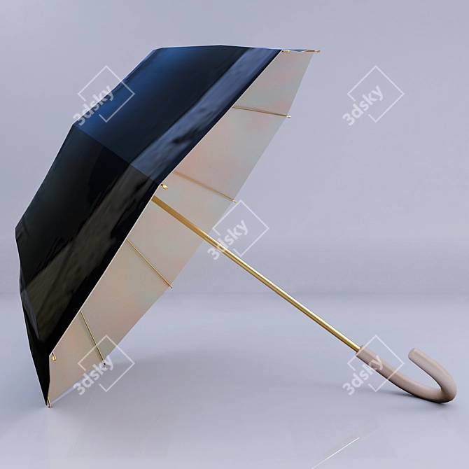 Rainproof Portable Umbrella 3D model image 5