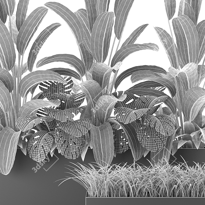 Indoor & Outdoor Plant Collection: Banana Palm, Monstera, Aspidistra & Grass 3D model image 6