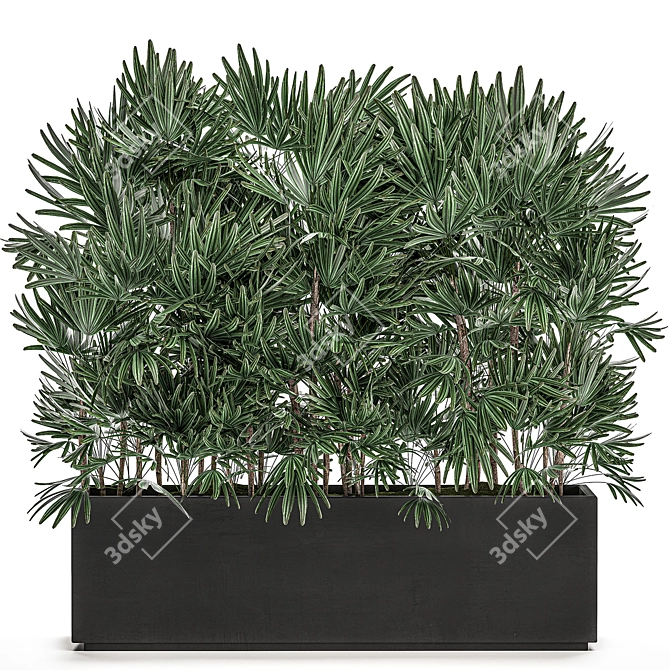 Exotic Tropical Plant Collection 3D model image 1