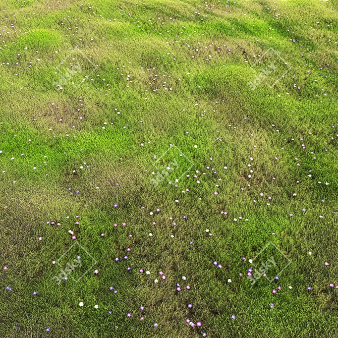 Realistic Arch_Grass 05 for Close-Up Exterior Rendering 3D model image 2