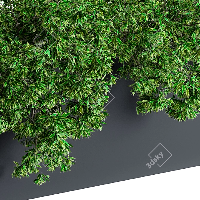 Green Paradise: Outdoor Planter 3D model image 3