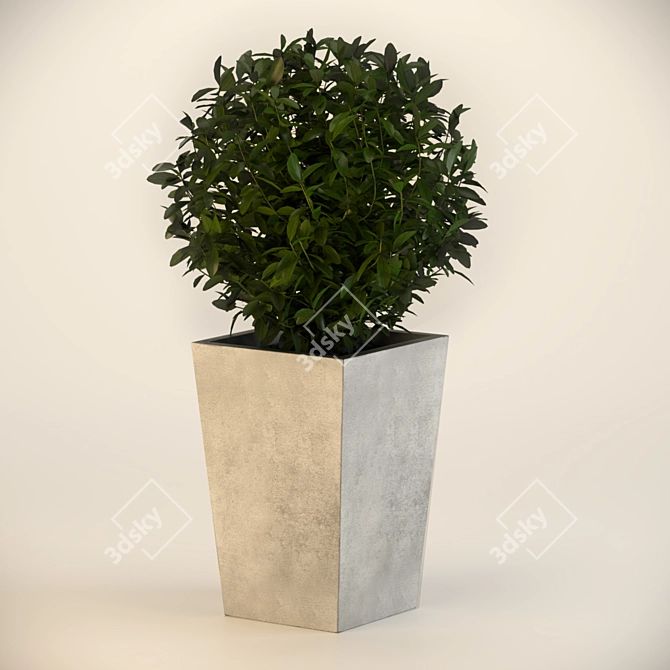 Sleek Concrete Planter 3D model image 1