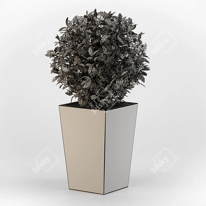 Sleek Concrete Planter 3D model image 5