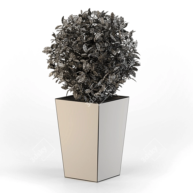 Sleek Concrete Planter 3D model image 6