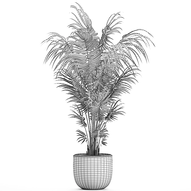 Tropical Palm: Exotic Indoor Plant Collection 3D model image 5