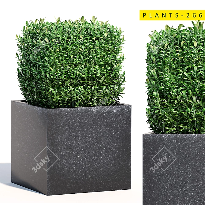 Lush Bush Plants for 3D Modeling 3D model image 1