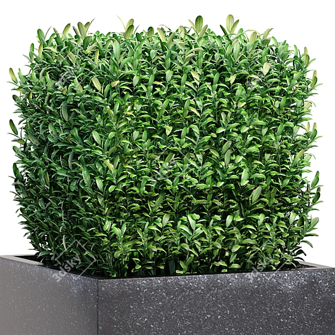 Lush Bush Plants for 3D Modeling 3D model image 2