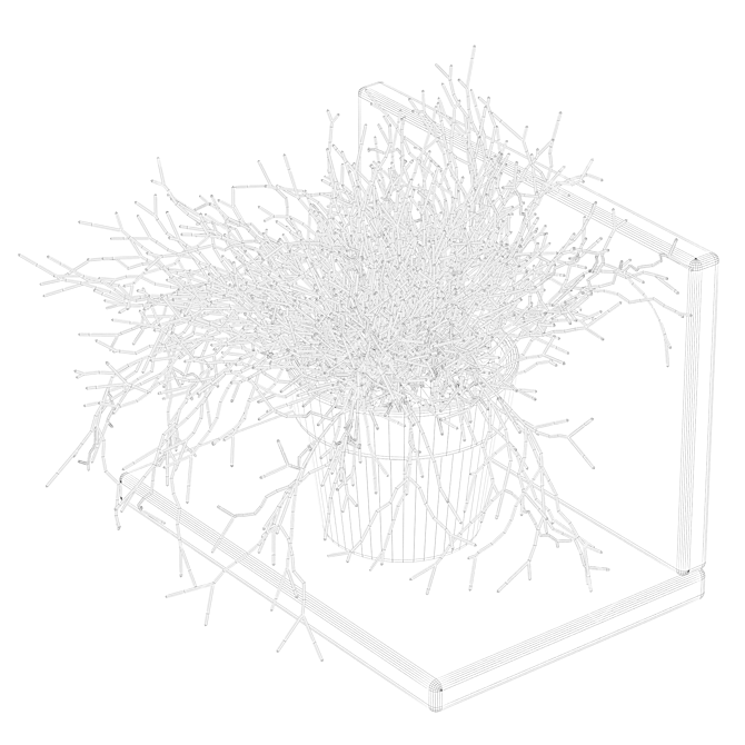 Rhipsalis Baccifera 01: Lush 3D Plant 3D model image 5