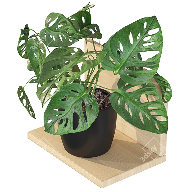 Tropical Leaf Decor: Monstera Monkey Mask 3D model image 2