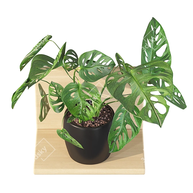 Tropical Leaf Decor: Monstera Monkey Mask 3D model image 3