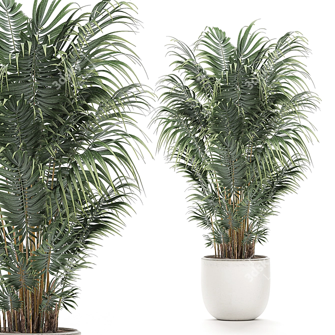 Tropical Paradise Plant Collection with White Pot 3D model image 2