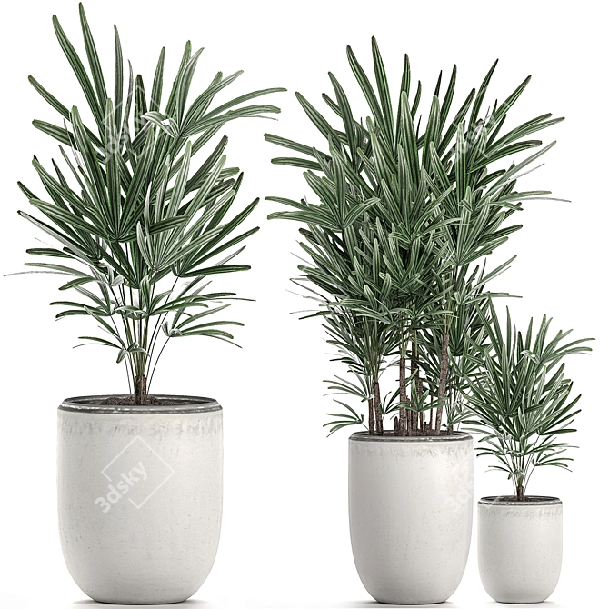 Exotic Tropical Indoor Plant Collection 3D model image 1
