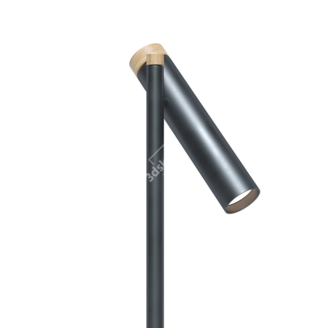 Minimalist EcoLight Deco: 7W Floor Lamp (Black, Aluminum & Ash Wood) 3D model image 1