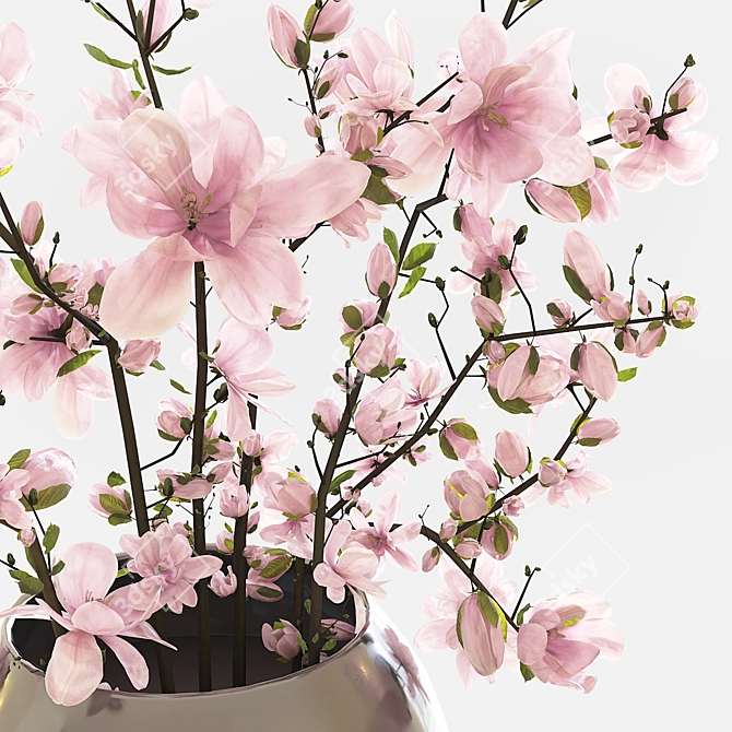 Magnolia Branch Decor Set 3D model image 3