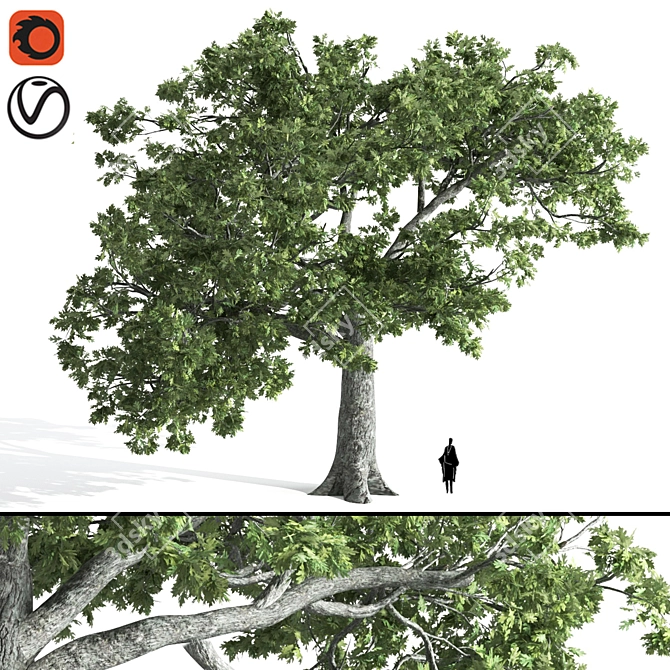  Majestic Oak Tree Sculpture 3D model image 1