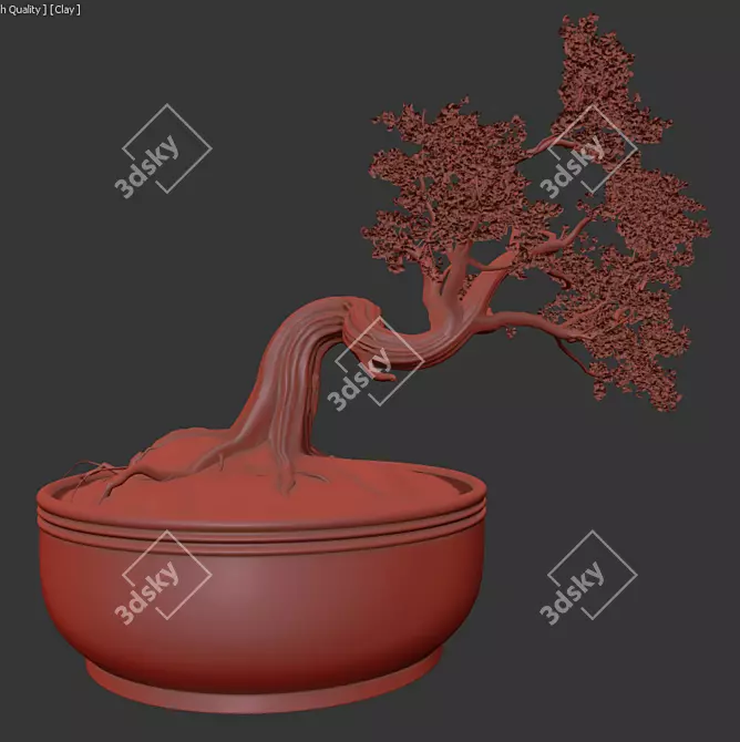 Elegant Bonsai Decor Tree 3D model image 3