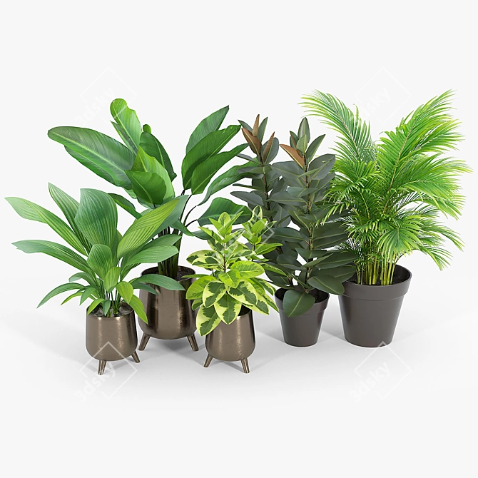 Lifelike Calathea Décor: Faux Potted Elegance 3D model image 2